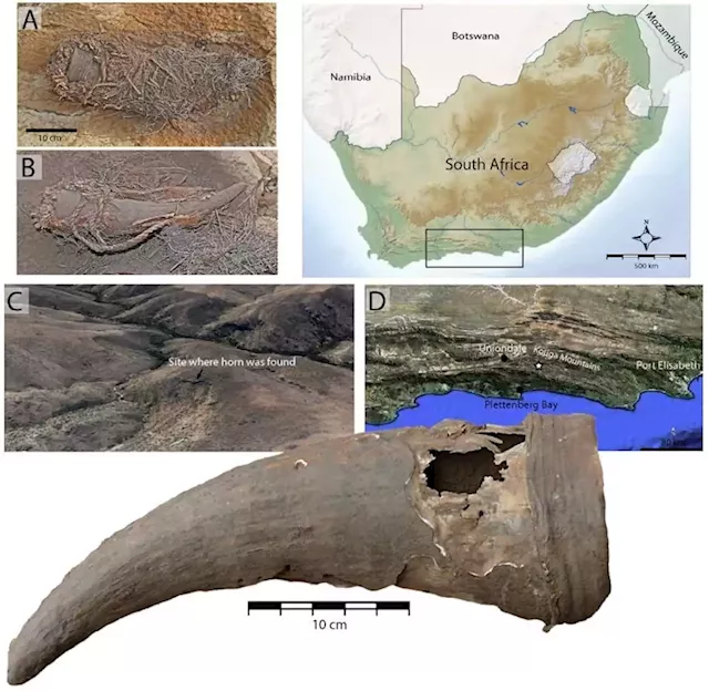 Crayfish feasts and a medicine horn: new finds depict life in pre-colonial South Africa | Business Insider