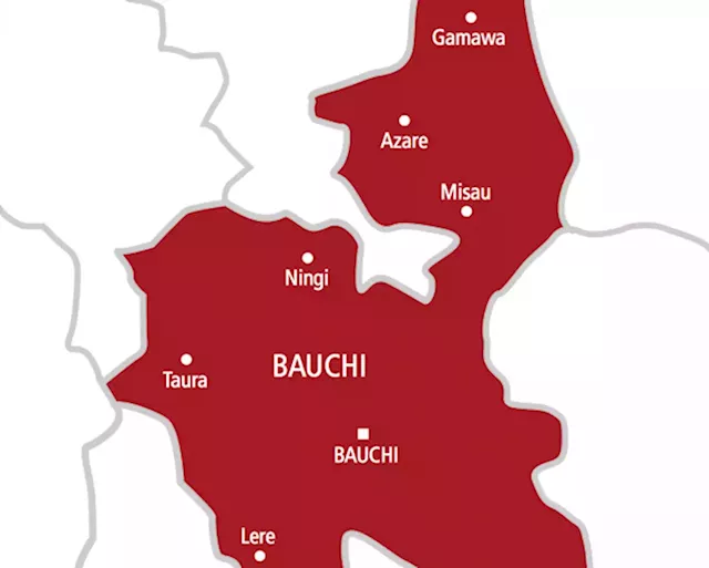 Armed men invade Bauchi market, kill one