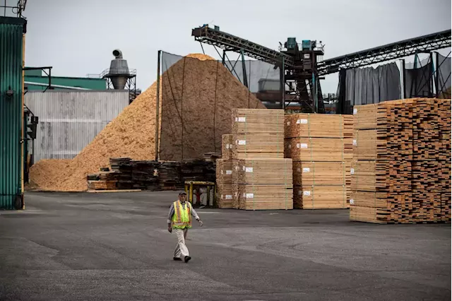 B.C. lumber industry on edge after Biden ups the ante on Buy American policies