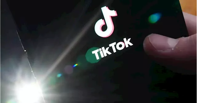 Canadian companies should consider TikTok ban following government step: experts - National | Globalnews.ca