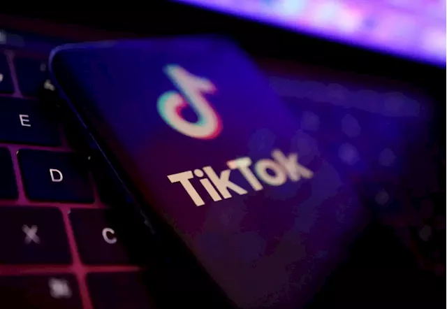 TikTok ban should make Canadian companies review social media and device policies, experts say