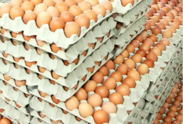 Only one company allowed to import eggs into M'sia, says Mat Sabu