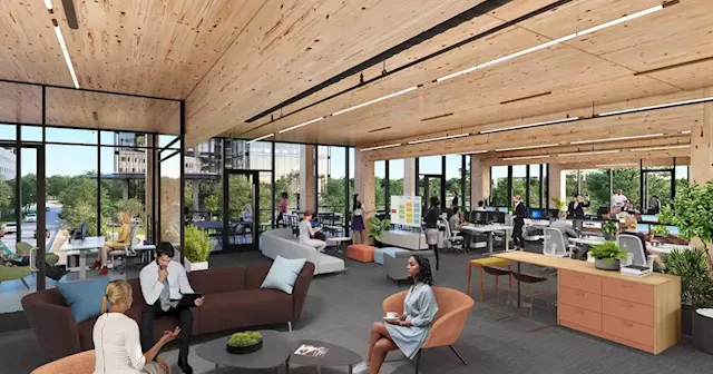 Frisco office project towers over the market with ‘mass timber’ construction