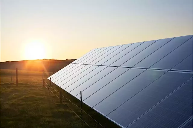 SA solar boom: In Feb, 700% more private power registered than in whole of 2021 | Business