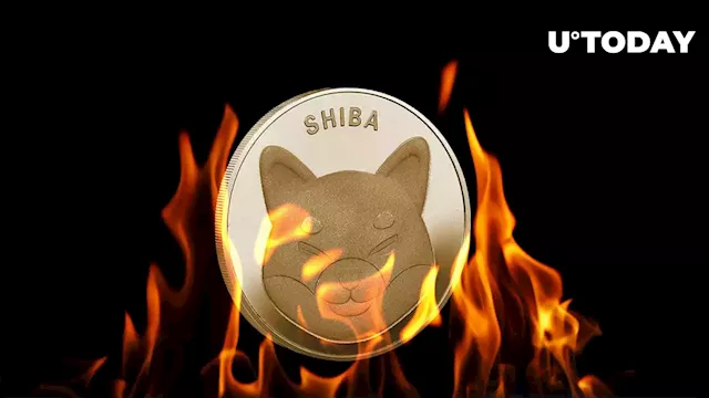 Shiba Inu (SHIB) Burn Rate Amid Market Turmoil Shows Unexpected Performance