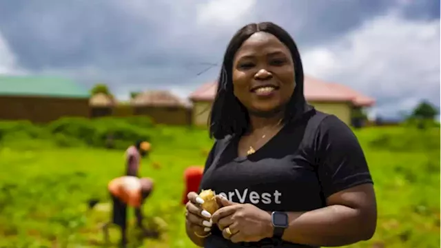 HerVest launches revamped app to bridge Africa’s gender finance gap | The Guardian Nigeria News - Nigeria and World News