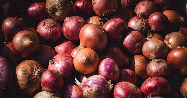 Onion market prices stay above P100/kg amid low farmgate value —SINAG