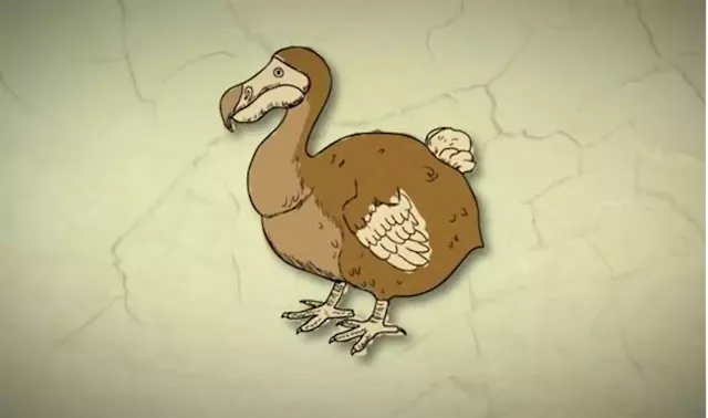 WATCH | A billion dollar startup wants to bring back the Dodo | Business