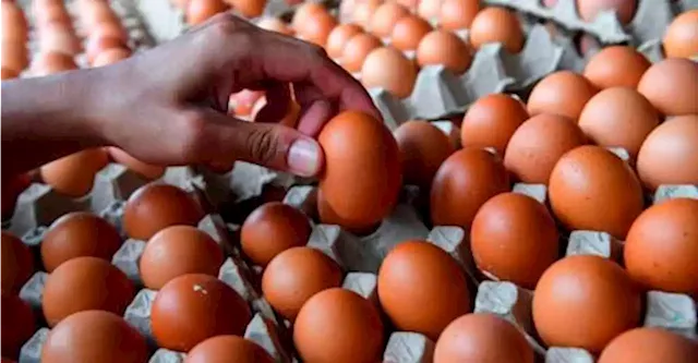 Egg import borne by company, does not involve public funds: MAFS