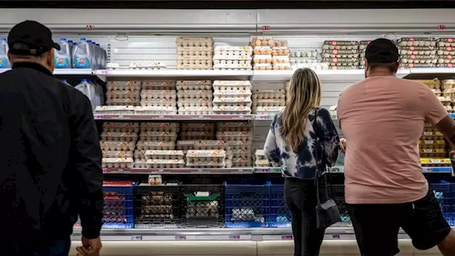 Eggs are finally getting cheaper in the grocery store | CNN Business