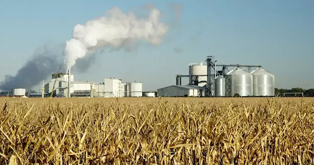 Ethanol industry says it will die if it cannot take farmers’ lands for a CO2 pipeline. Will Trump support them?