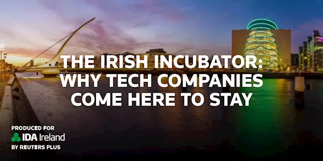 Tapping Irish Talent to Drive Tech Companies