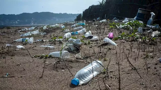 The plastic water bottle industry is booming. Here's why that's a huge problem | CNN