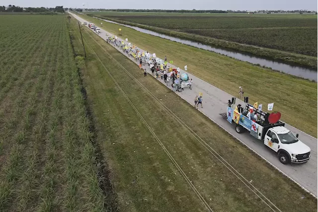 Farmworkers use Florida march to pressure other companies