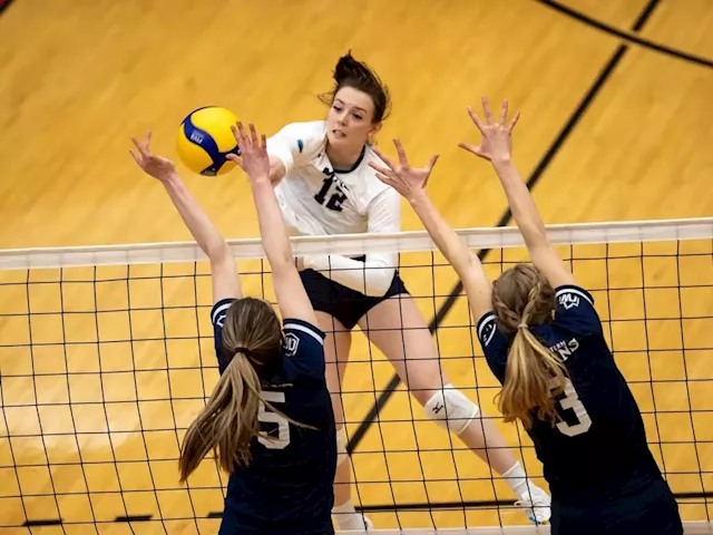 MRU Cougars back to finish business at women's volleyball nationals