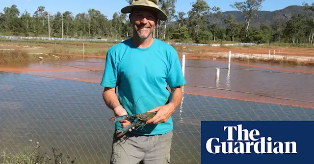 ‘If we want to eat it, we have to farm it’: the push to grow Australia’s $2bn aquaculture industry