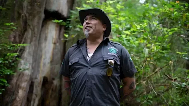 38 years after standing up to a logging company, this First Nation is still fighting for old-growth forests | CBC Documentaries