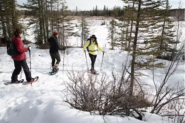 Indigenous-led snowshoeing company helps Albertans see the land through traditional eyes