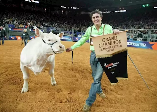 King named grand champion junior market steer at RodeoHouston