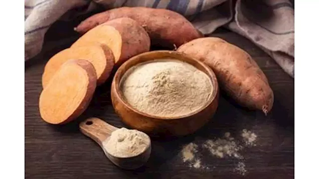 Investing In Sweet Potato Flour Business