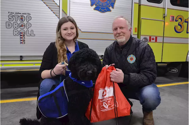 Hantsport company donating pet oxygen mask kits to help keep animals safe | SaltWire