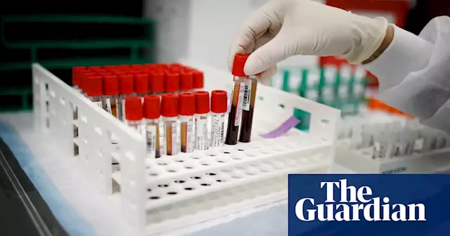 ‘It’s gamified’: inside America’s blood plasma donation industry