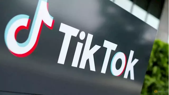 TikTok CEO says company at 'pivotal' moment as some US lawmakers seek ban