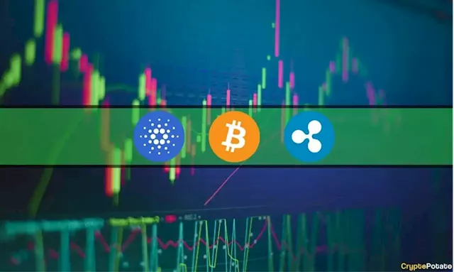 XRP, ADA Explode by Double Digits, Bitcoin Stable at $28K: Market Watch