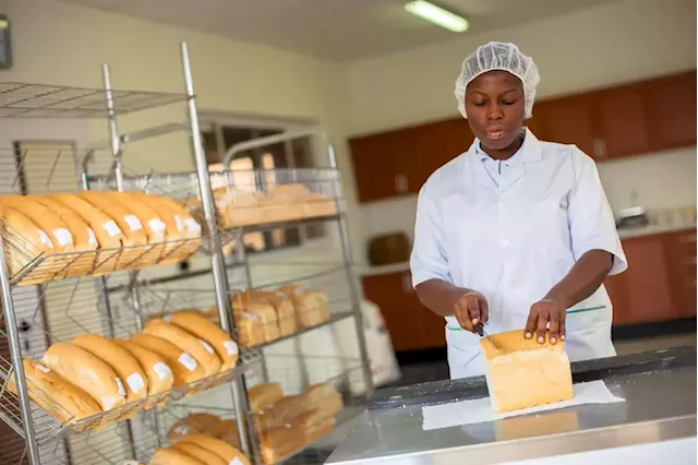 How Olam Agri is Promoting Sustainable Practices in Baking Industry – THISDAYLIVE