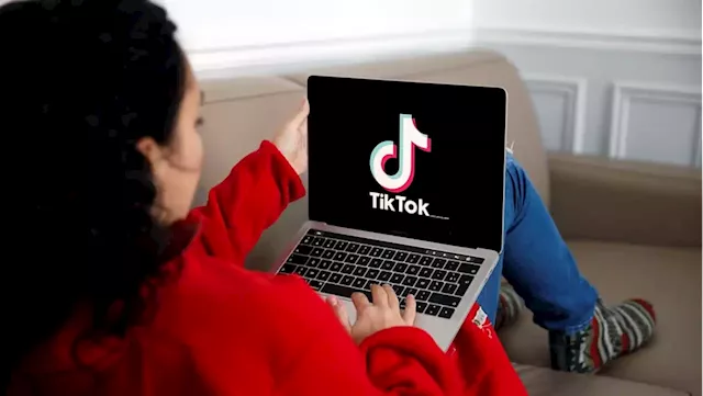 Why are governments cracking down on TikTok? | Business