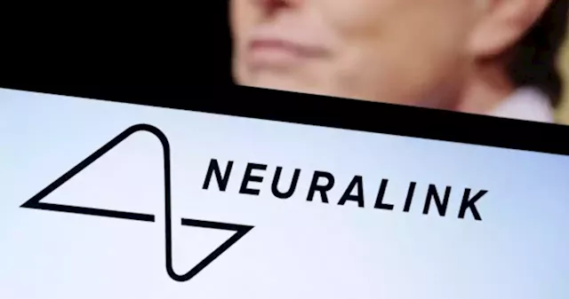 Musk's brain implant company in search of human trials partner