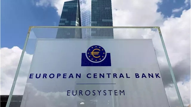 ECB likely to hike interest rates again despite market nervousness