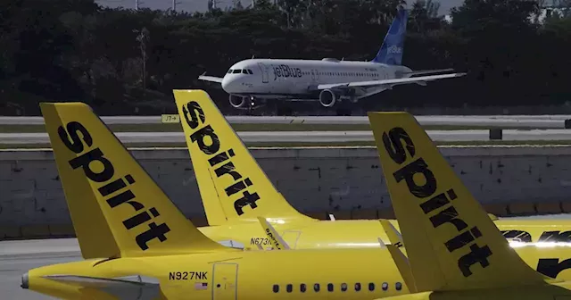 Sheldon Jacobson: Would a JetBlue and Spirit merger be all that bad for travelers?