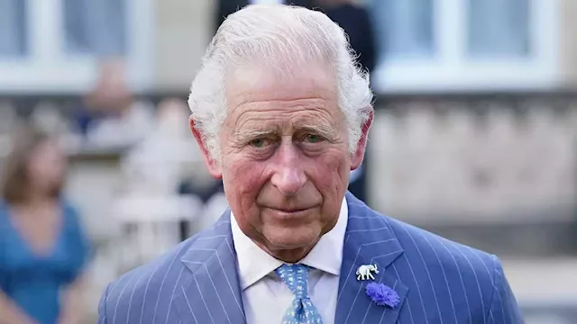 King Charles Expects Royals to Finance Their Own Homes: Report