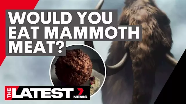 Australian company creates ‘Mammoth Meatball’ | 7NEWS