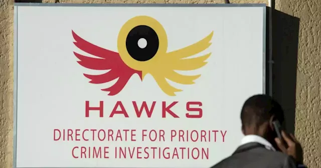 Hawks raid house, business premises over Thembisa Hospital tender scandal