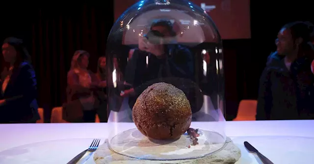 Australian Company Makes Mammoth Meatball Using Actual Mammoth DNA