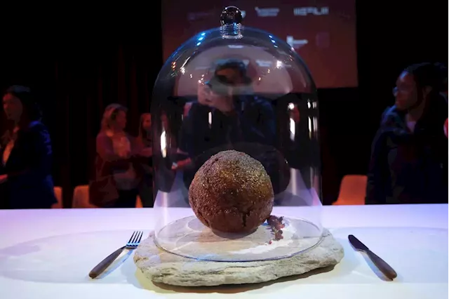 Company makes massive meatball from lab-grown mammoth meat