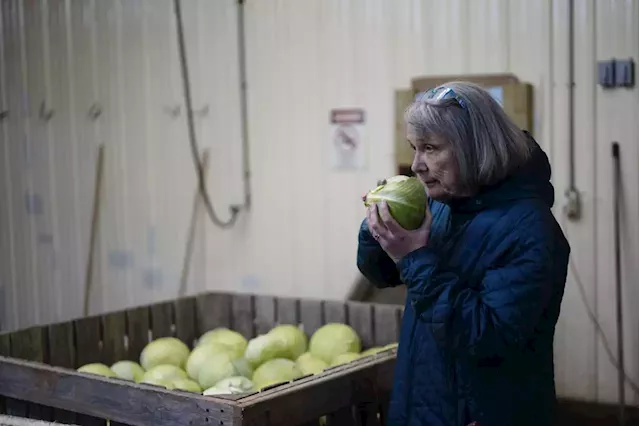 PEI woman, self-styled ‘colonel of the cabbage army,’ is on a mission to save province’s industry