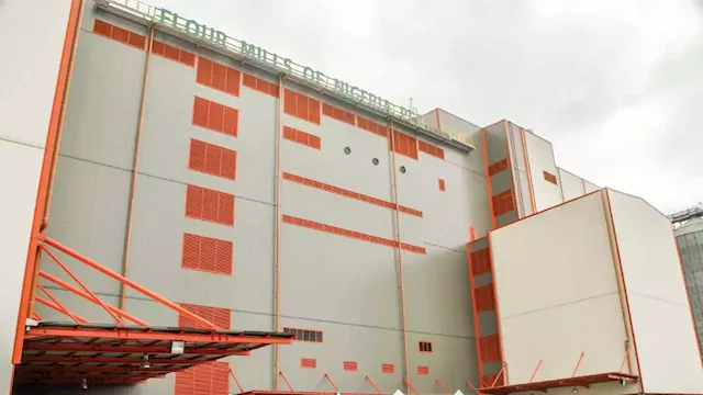 Business sustainability is our watchword – Flour mills | The Guardian Nigeria News - Nigeria and World News