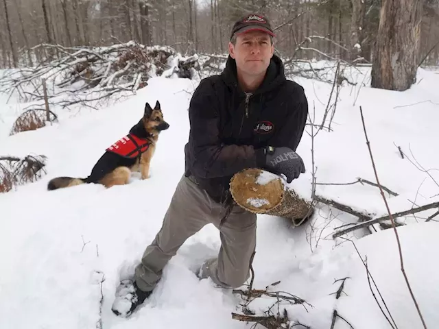 It's business as usual (sort of) for derecho-ravaged sugar bushes as farmers gear up for syrup season