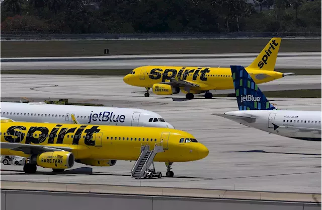 JetBlue CEO Says Feds Will Sue Airline Over Its $3.8 Billion Merger With Spirit This Week