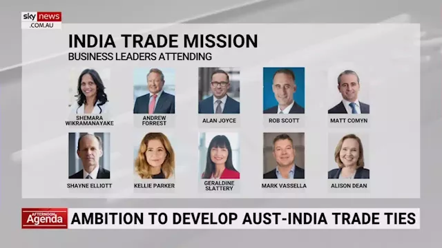 &#8216;High-powered delegation&#8217;: Business leaders to travel with Albanese to India