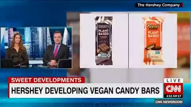 There's a new Reese's in town, hold the dairy | CNN Business