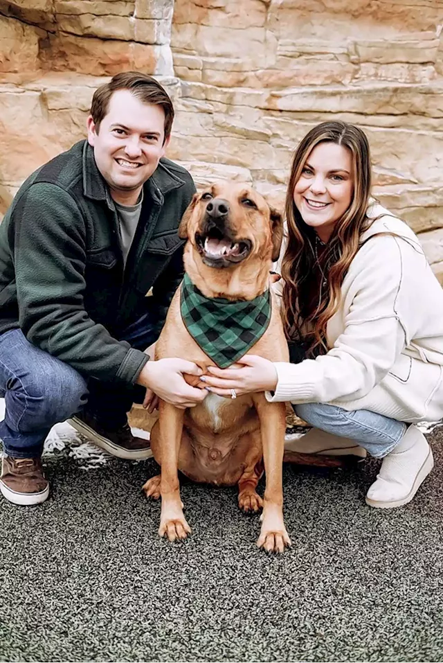 'He loves it': Couple starts Naperville pet food business with dog's approval