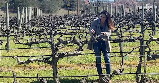 Healdsburg winemaker Nicole Hitchcock paving a path for women in the wine industry