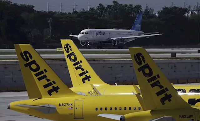 'This Merger Will Limit Choices': US Sues to Block JetBlue From Buying Spirit Airlines