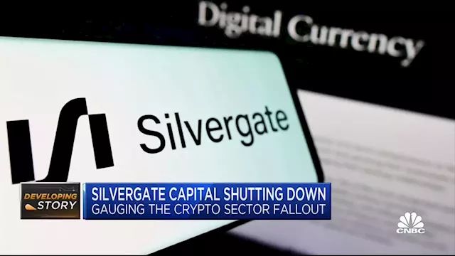 Crypto-focused bank Silvergate is shutting operations and liquidating after market meltdown