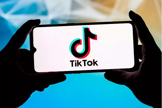 Czech cyber watchdog calls TikTok a 'security threat' | Business