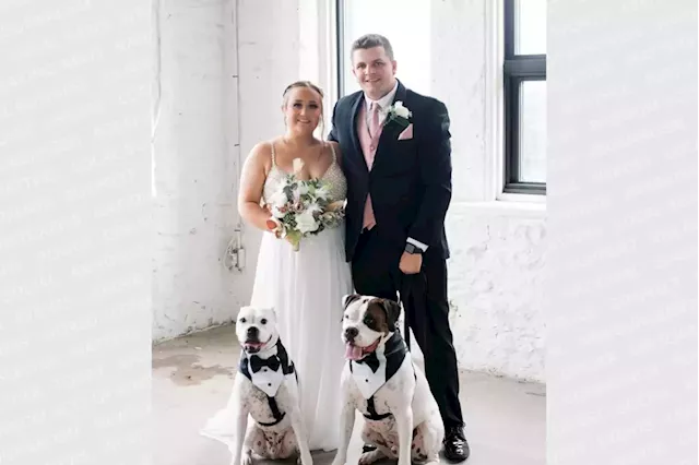 Wedding pet attendant business a ‘unique first’ in the Sault